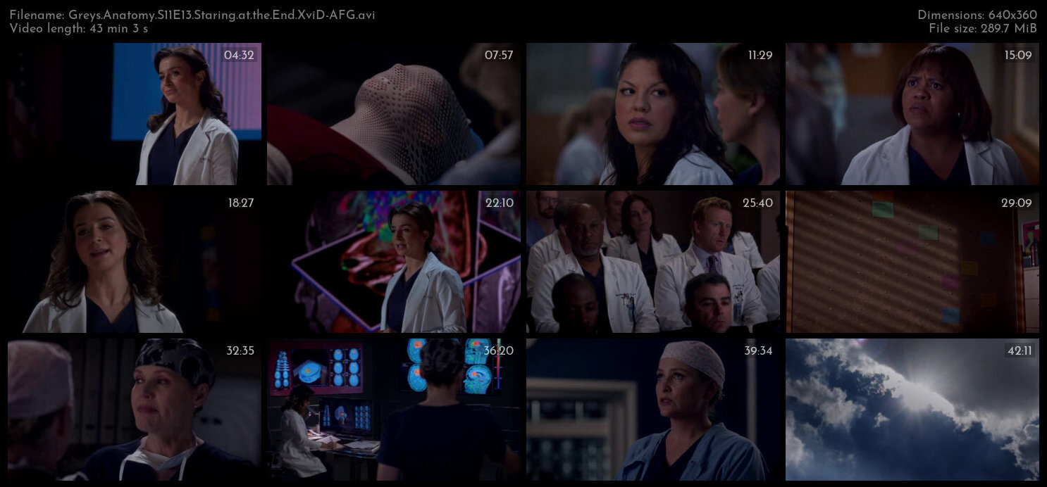 Greys Anatomy S11E13 Staring at the End XviD AFG TGx