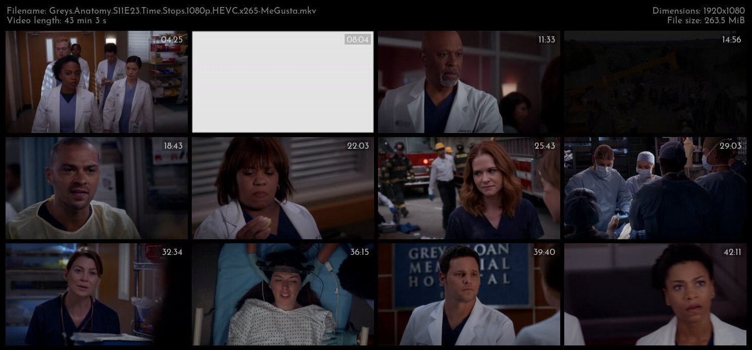 Greys Anatomy S11E23 Time Stops 1080p HEVC x265 MeGusta TGx