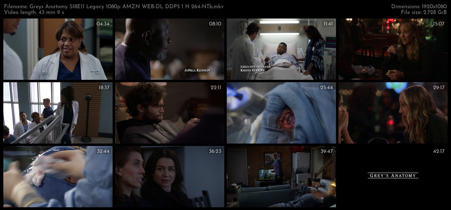 Greys Anatomy S18E11 Legacy 1080p AMZN WEB DL DDP5 1 H 264 NTb TGx