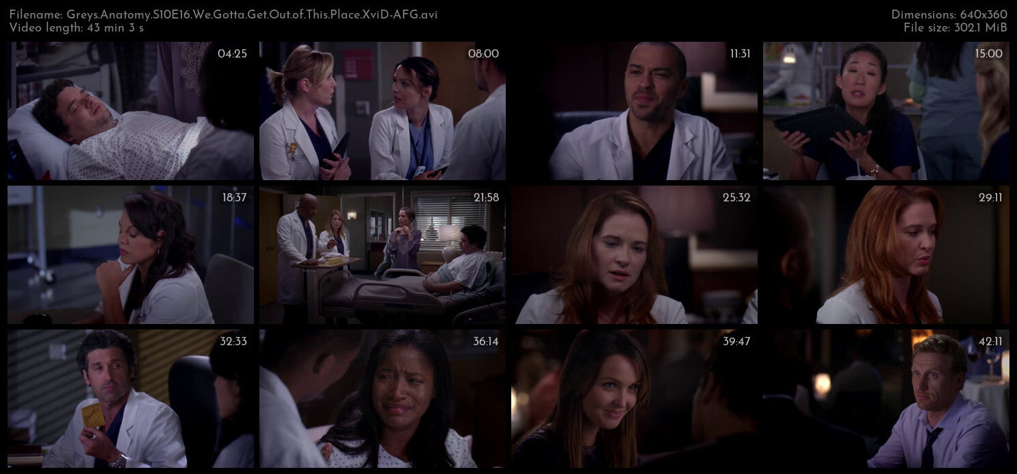 Greys Anatomy S10E16 We Gotta Get Out of This Place XviD AFG TGx