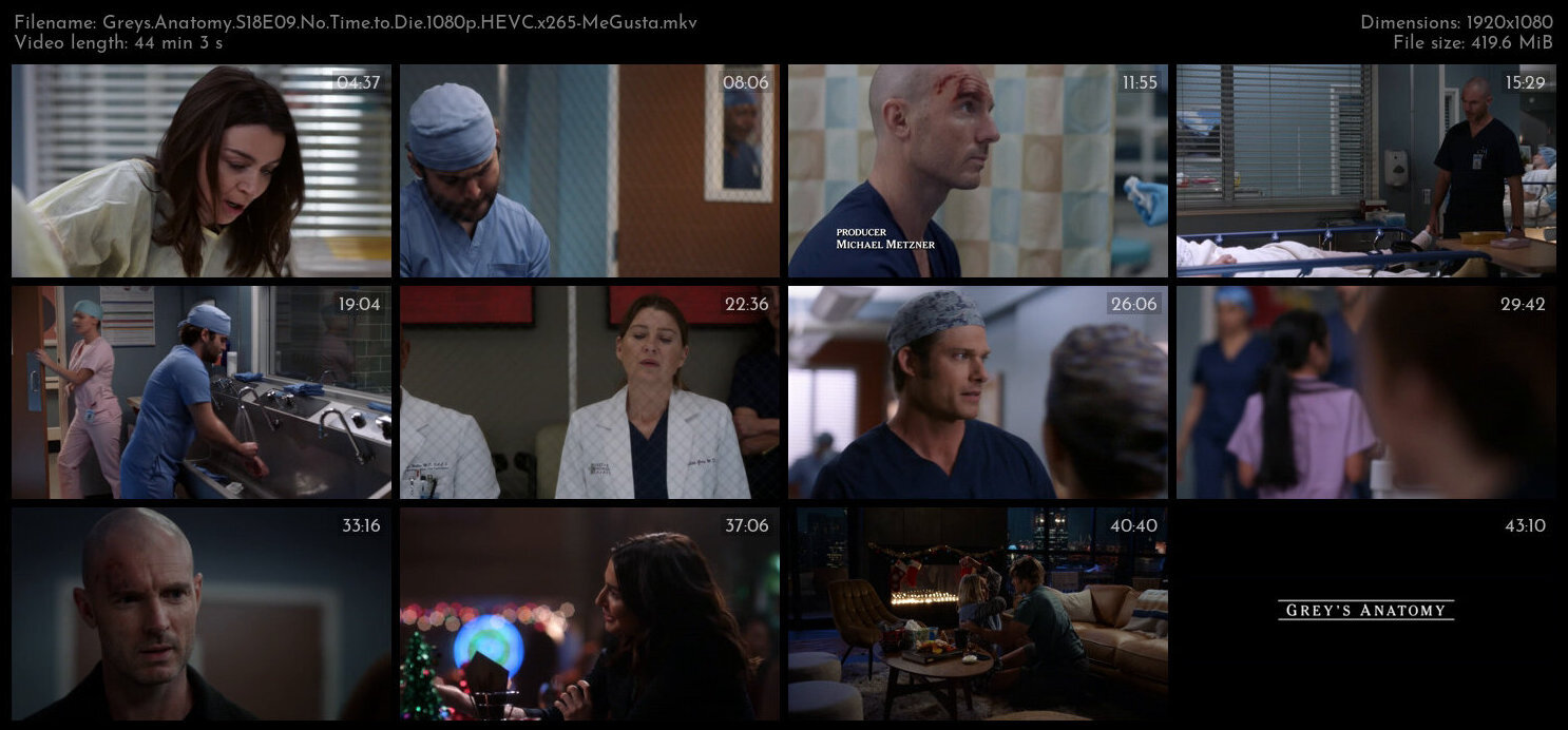 Greys Anatomy S18E09 No Time to Die 1080p HEVC x265 MeGusta TGx