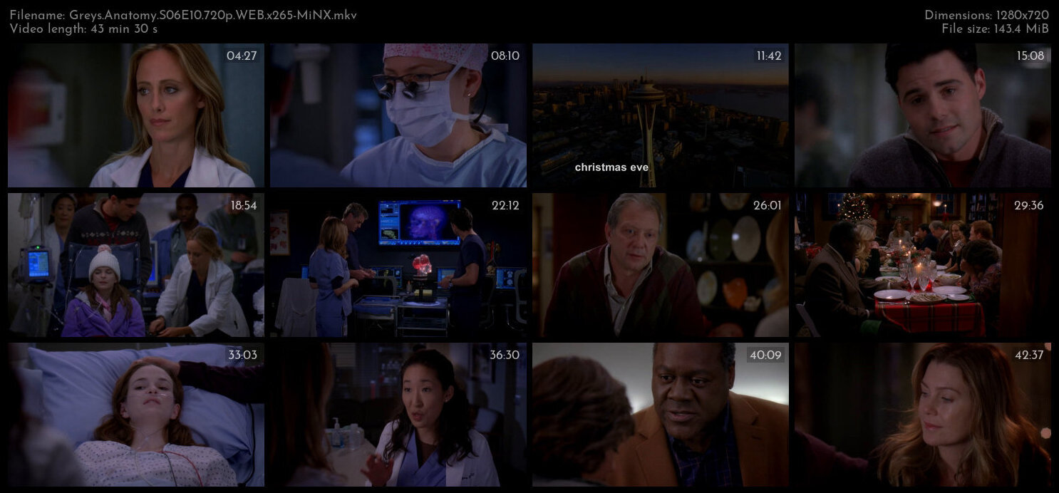 Greys Anatomy S06E10 720p WEB x265 MiNX TGx