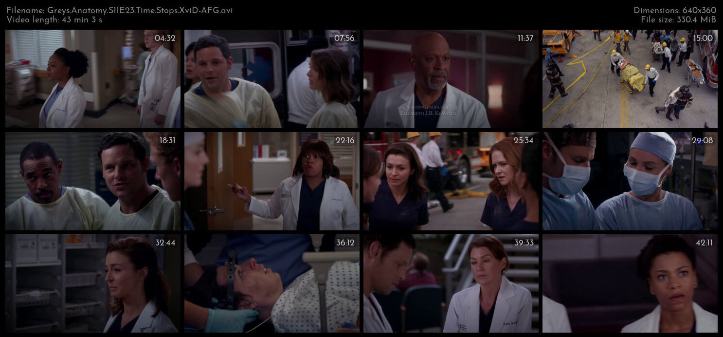 Greys Anatomy S11E23 Time Stops XviD AFG TGx