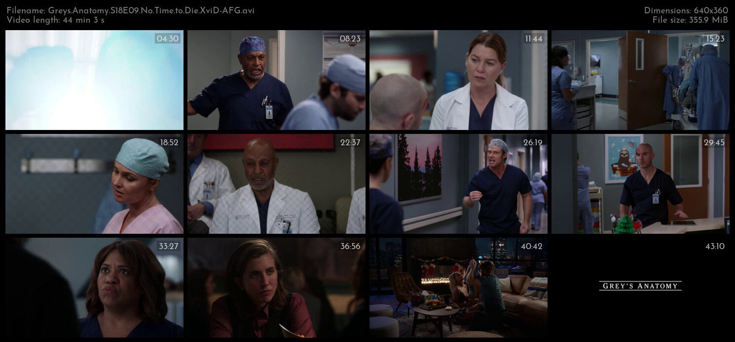 Greys Anatomy S18E09 No Time to Die XviD AFG TGx