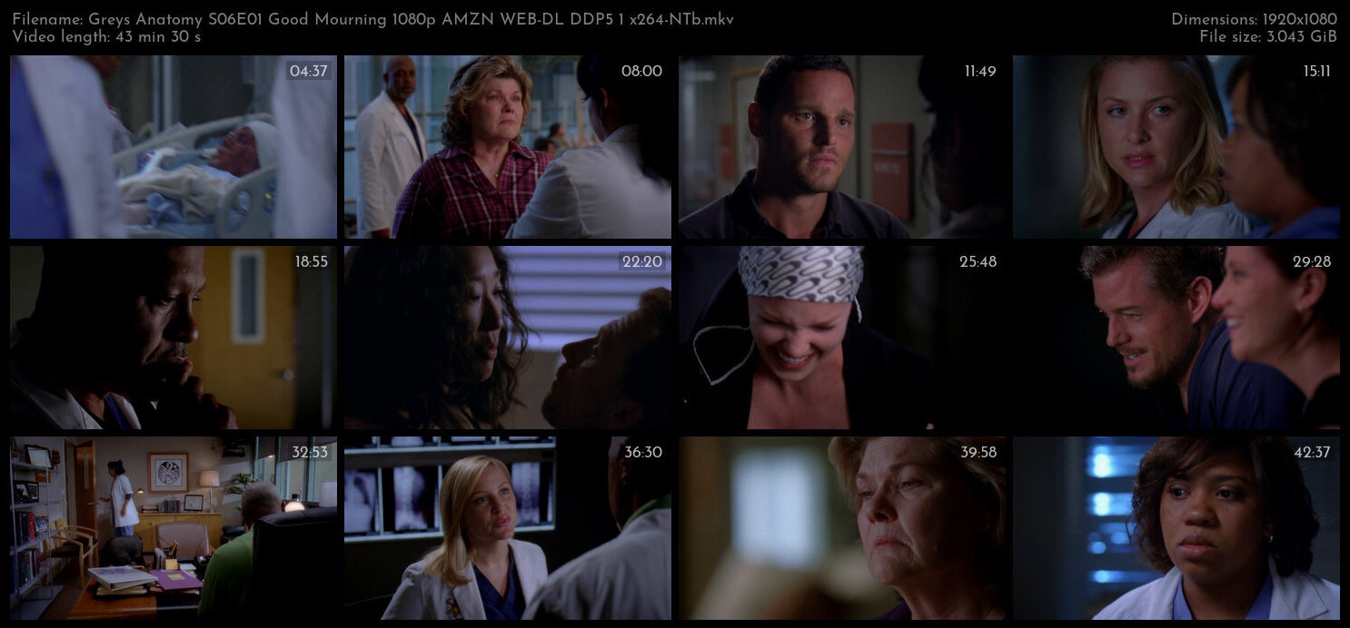 Greys Anatomy S06E01 Good Mourning 1080p AMZN WEB DL DDP5 1 x264 NTb TGx