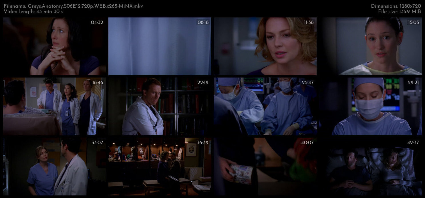 Greys Anatomy S06E12 720p WEB x265 MiNX TGx