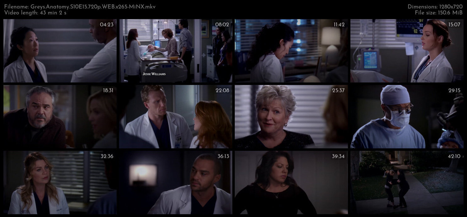 Greys Anatomy S10E15 720p WEB x265 MiNX TGx