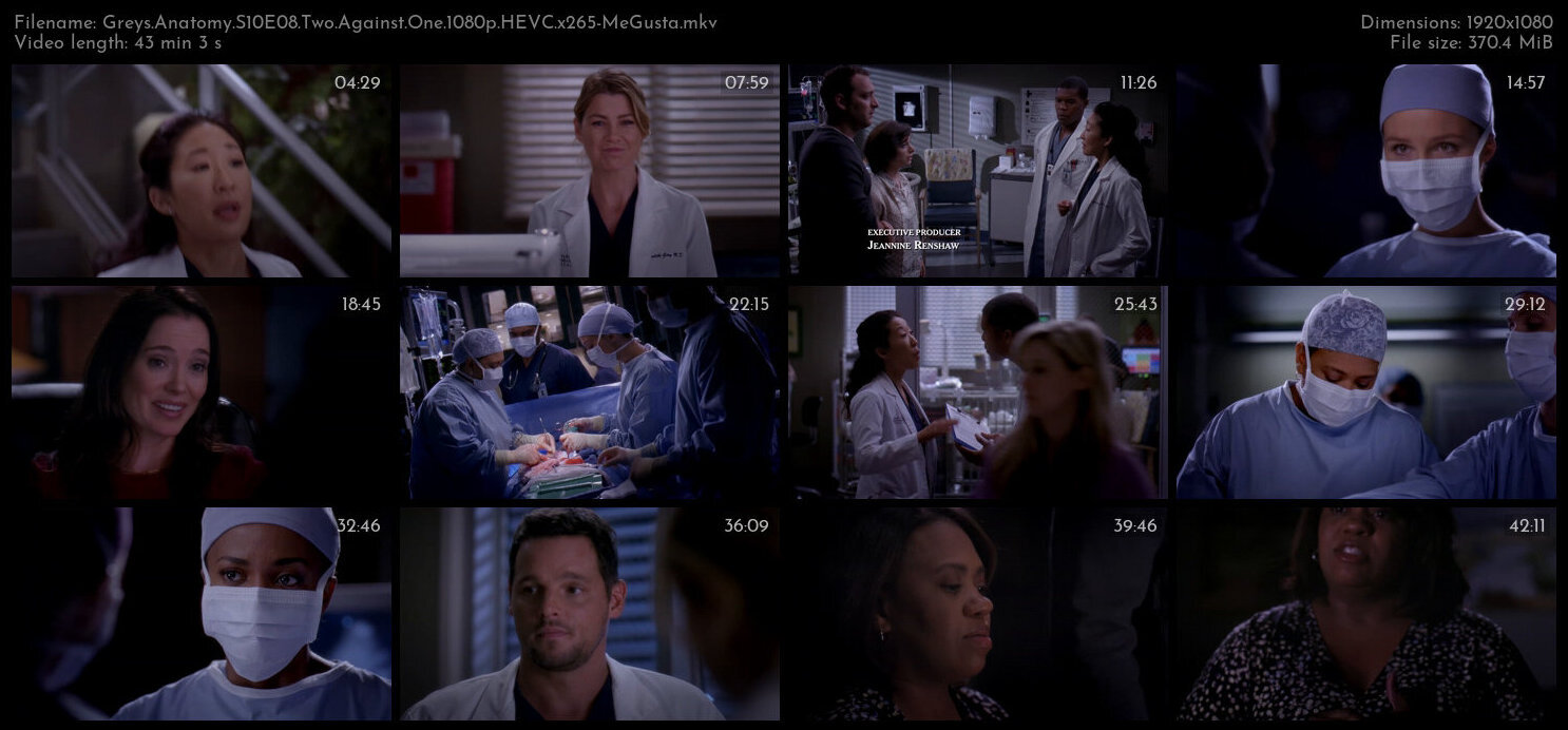 Greys Anatomy S10E08 Two Against One 1080p HEVC x265 MeGusta TGx