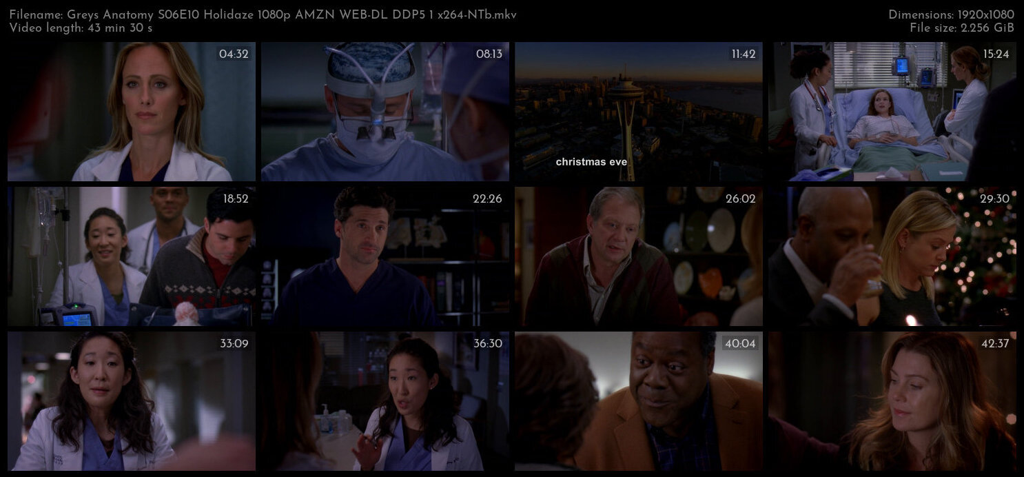 Greys Anatomy S06E10 Holidaze 1080p AMZN WEB DL DDP5 1 x264 NTb TGx