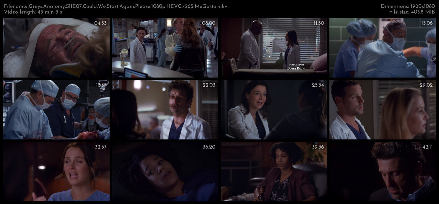 Greys Anatomy S11E07 Could We Start Again Please 1080p HEVC x265 MeGusta TGx