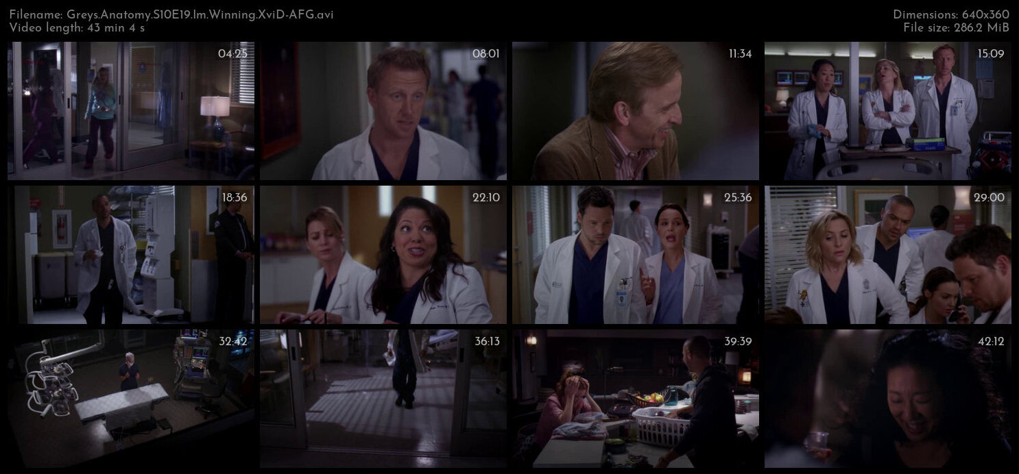 Greys Anatomy S10E19 Im Winning XviD AFG TGx