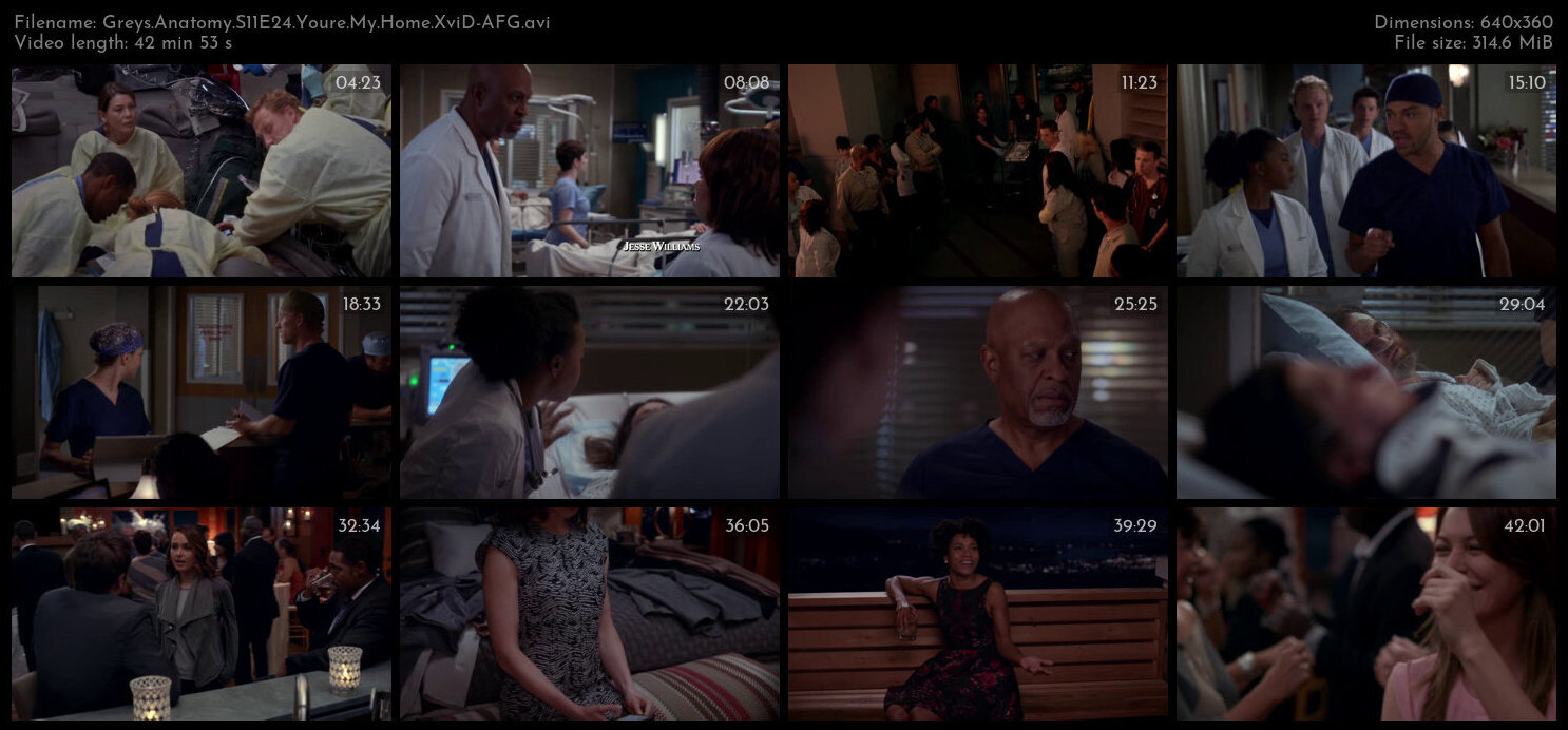 Greys Anatomy S11E24 Youre My Home XviD AFG TGx