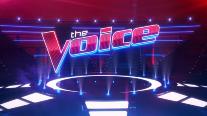 The Voice S26E13 WEB x264 TORRENTGALAXY