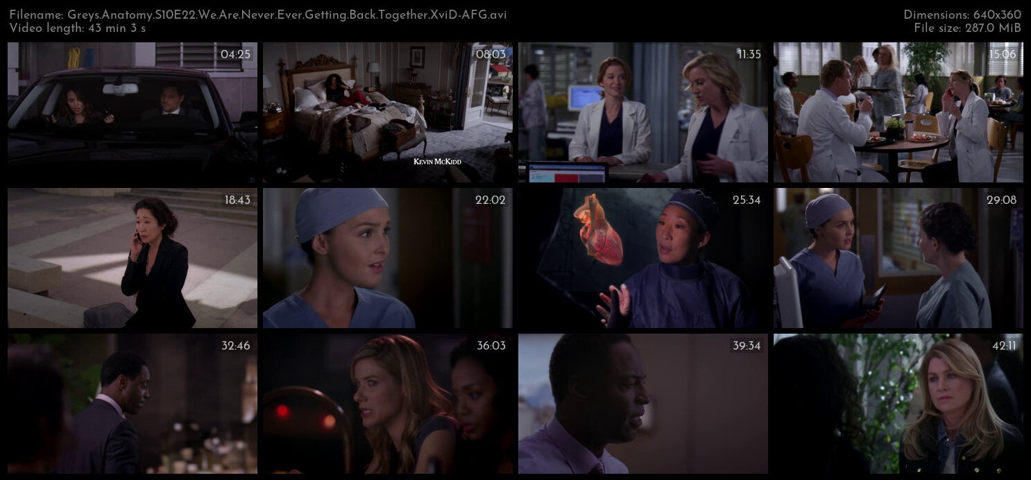 Greys Anatomy S10E22 We Are Never Ever Getting Back Together XviD AFG TGx