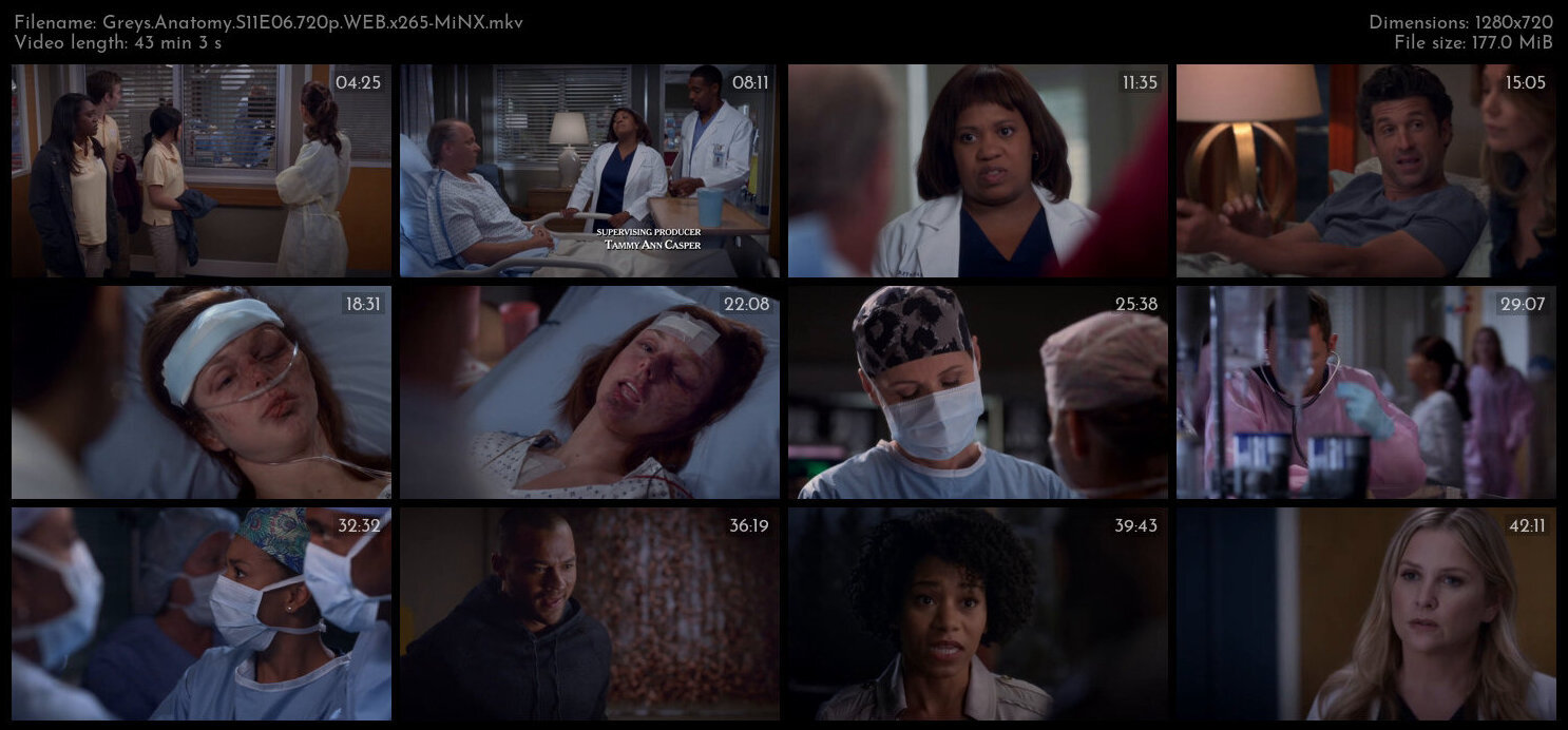 Greys Anatomy S11E06 720p WEB x265 MiNX TGx