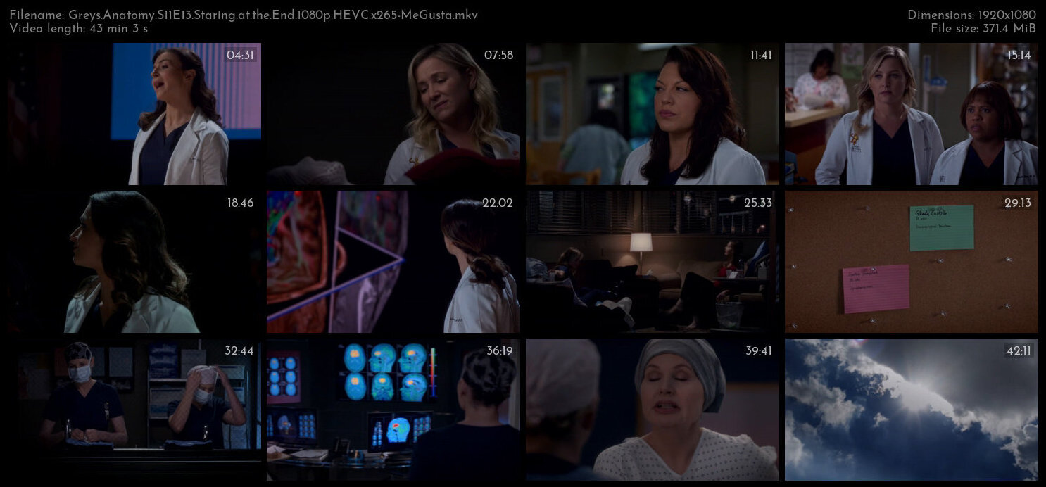 Greys Anatomy S11E13 Staring at the End 1080p HEVC x265 MeGusta TGx