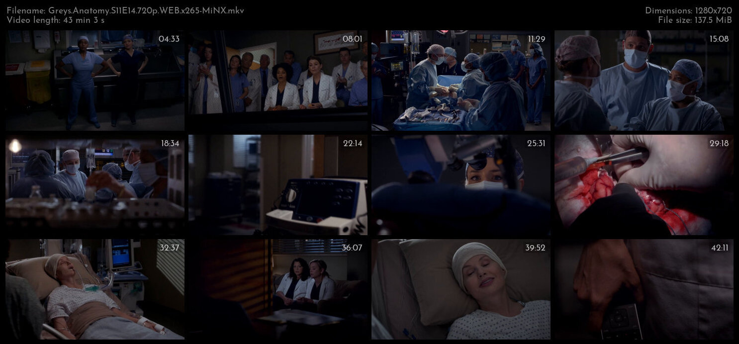 Greys Anatomy S11E14 720p WEB x265 MiNX TGx