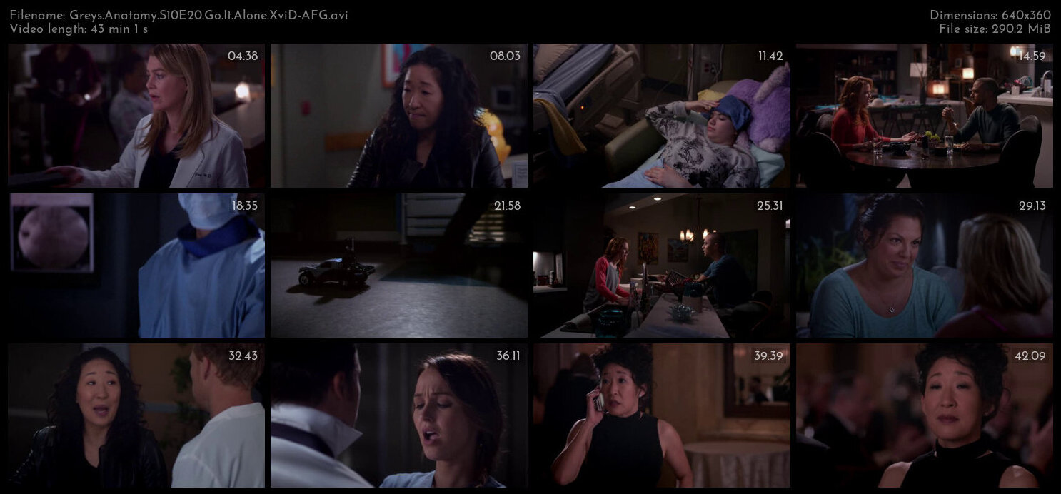 Greys Anatomy S10E20 Go It Alone XviD AFG TGx