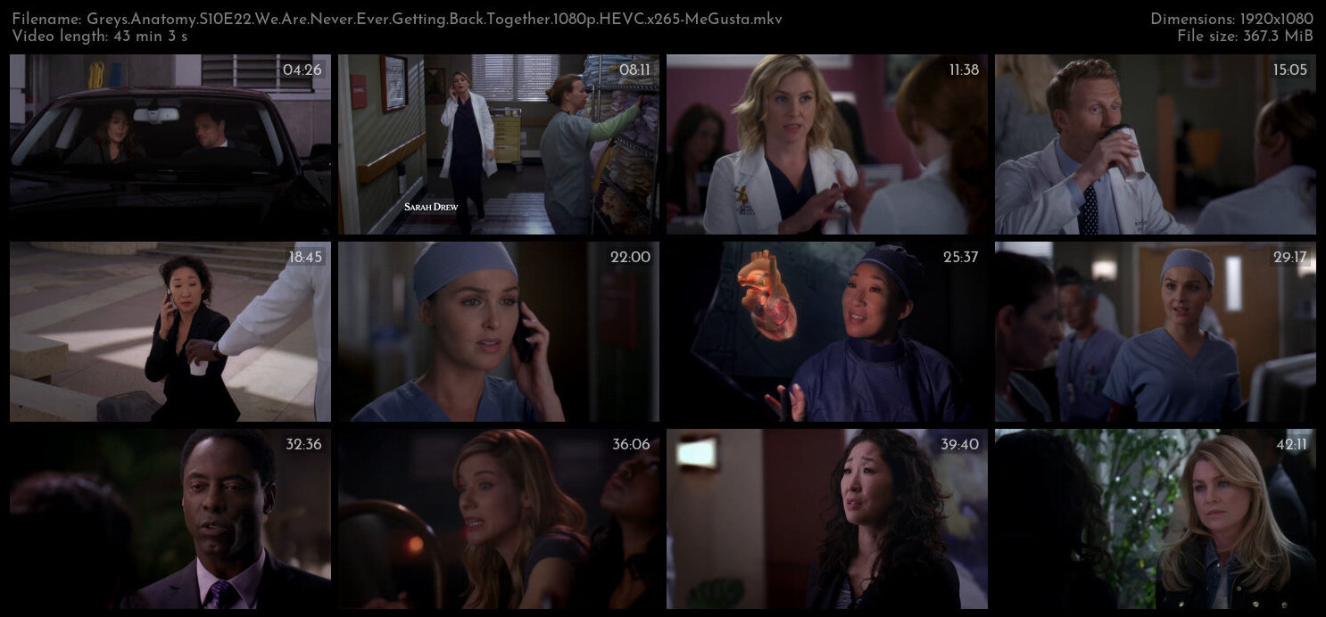 Greys Anatomy S10E22 We Are Never Ever Getting Back Together 1080p HEVC x265 MeGusta TGx