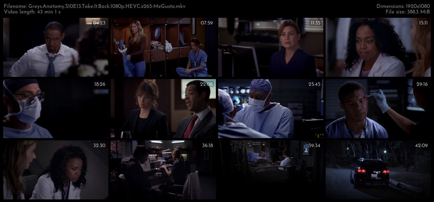 Greys Anatomy S10E13 Take It Back 1080p HEVC x265 MeGusta TGx