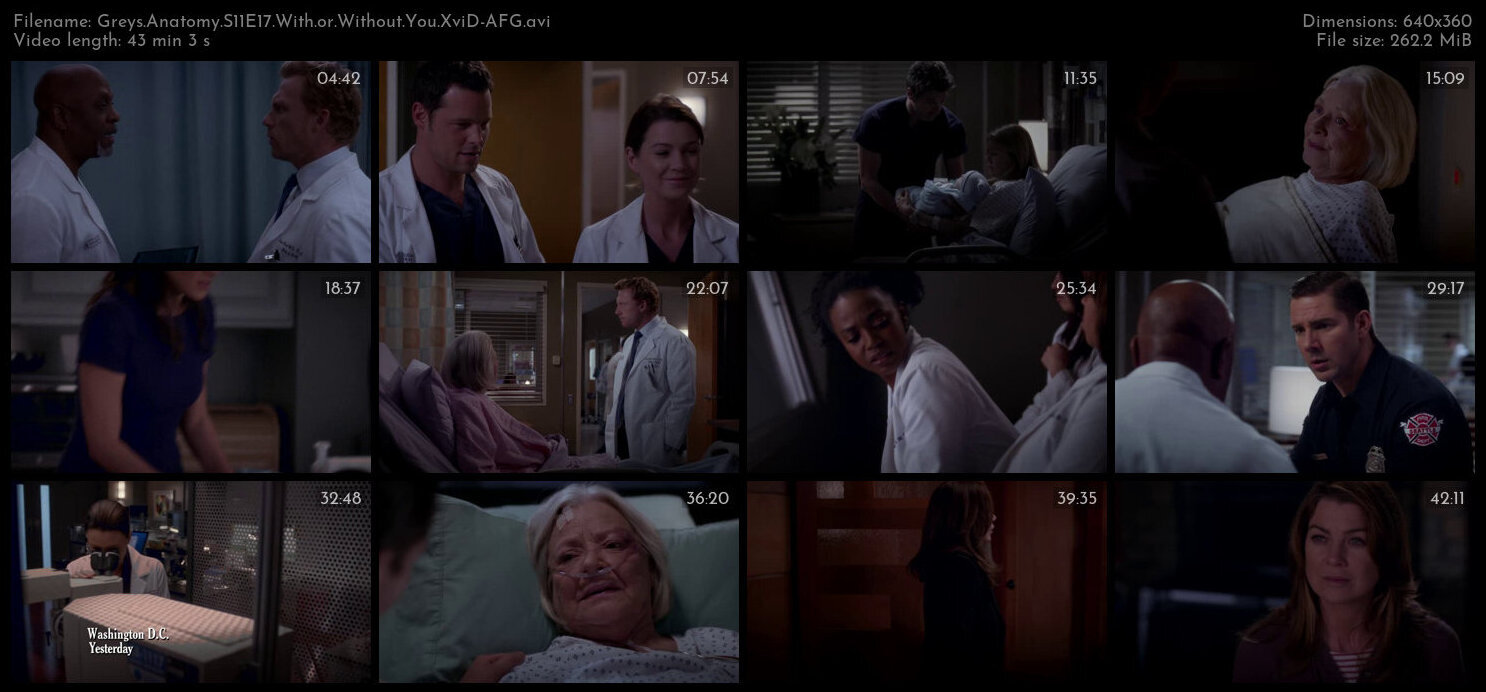 Greys Anatomy S11E17 With or Without You XviD AFG TGx