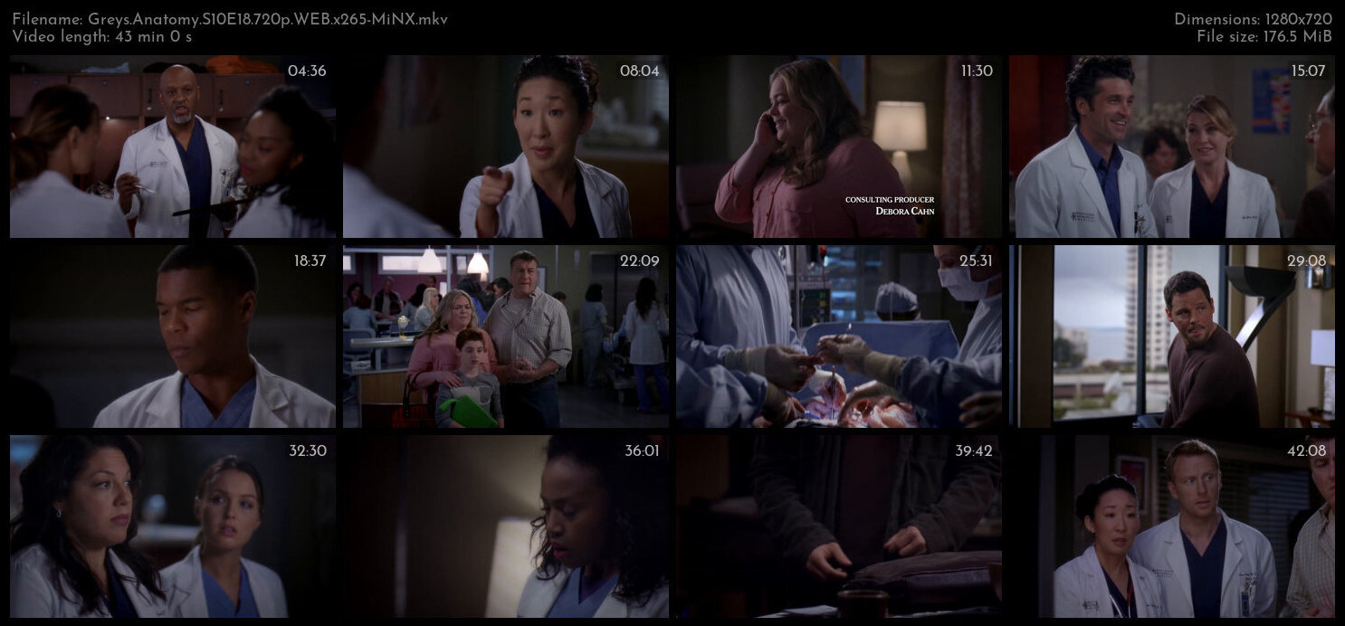 Greys Anatomy S10E18 720p WEB x265 MiNX TGx