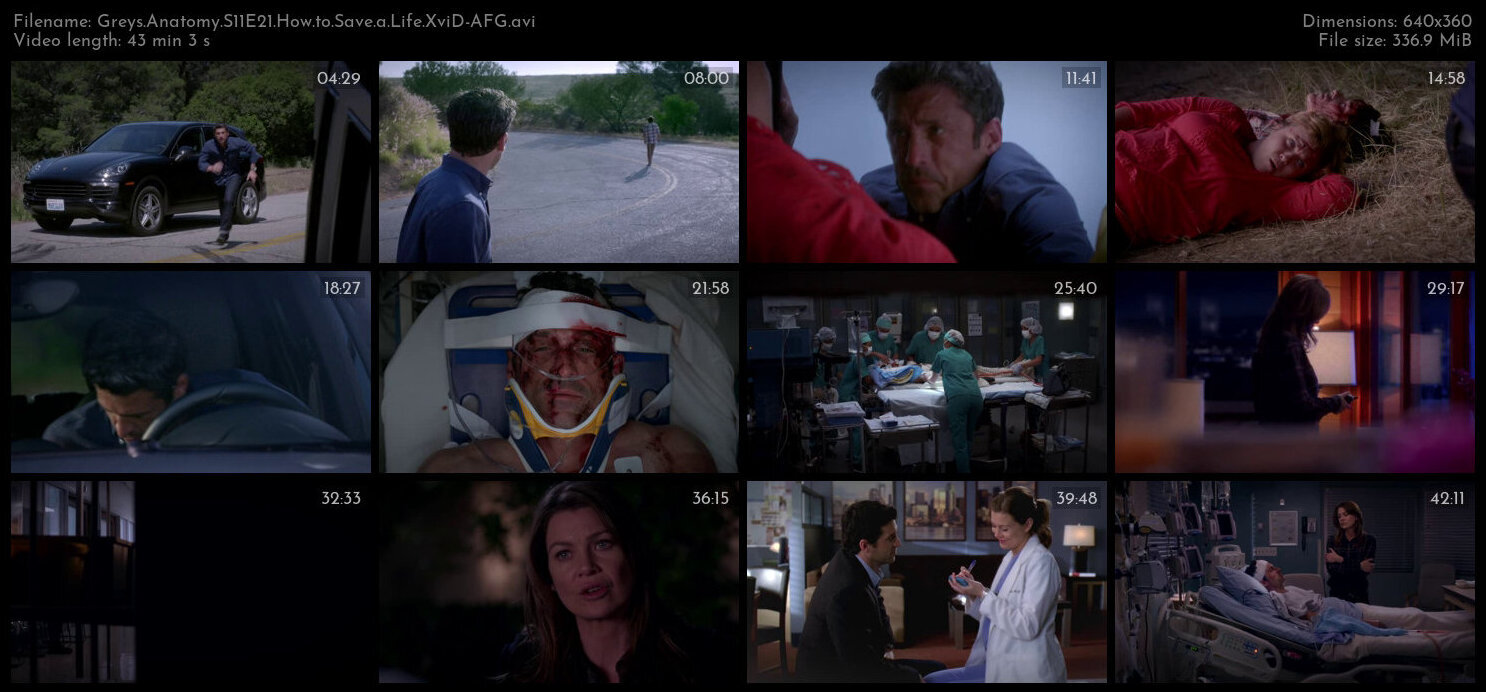 Greys Anatomy S11E21 How to Save a Life XviD AFG TGx