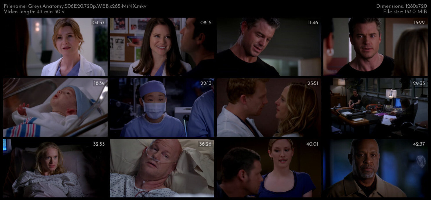 Greys Anatomy S06E20 720p WEB x265 MiNX TGx