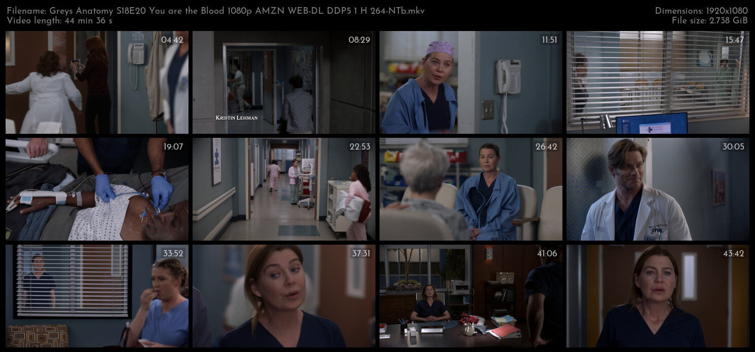 Greys Anatomy S18E20 You are the Blood 1080p AMZN WEB DL DDP5 1 H 264 NTb TGx