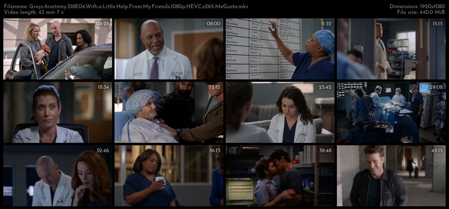 Greys Anatomy S18E04 With a Little Help From My Friends 1080p HEVC x265 MeGusta TGx