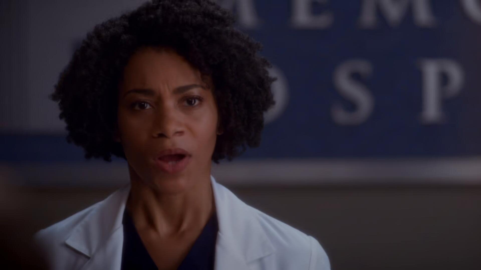 Greys Anatomy S11E02 Puzzle With a Piece Missing 1080p HEVC x265 MeGusta TGx