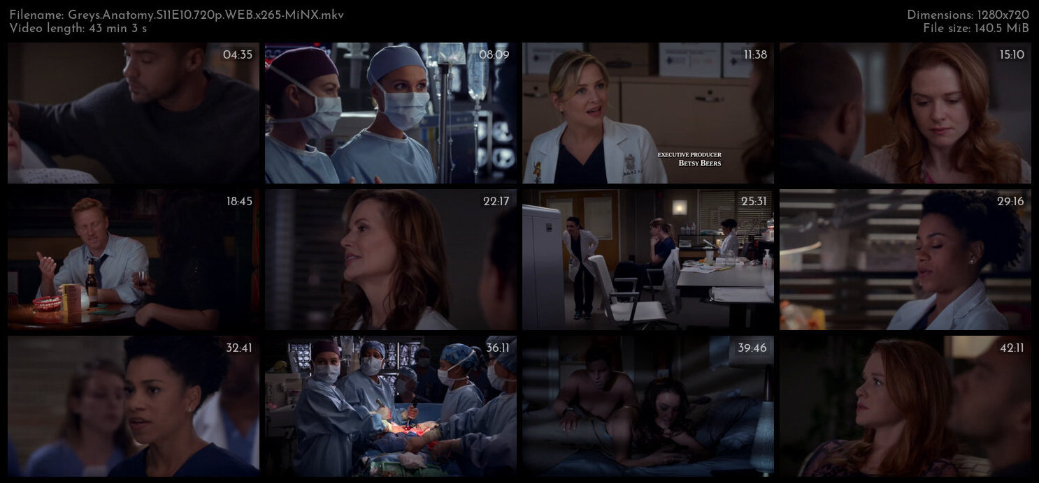 Greys Anatomy S11E10 720p WEB x265 MiNX TGx