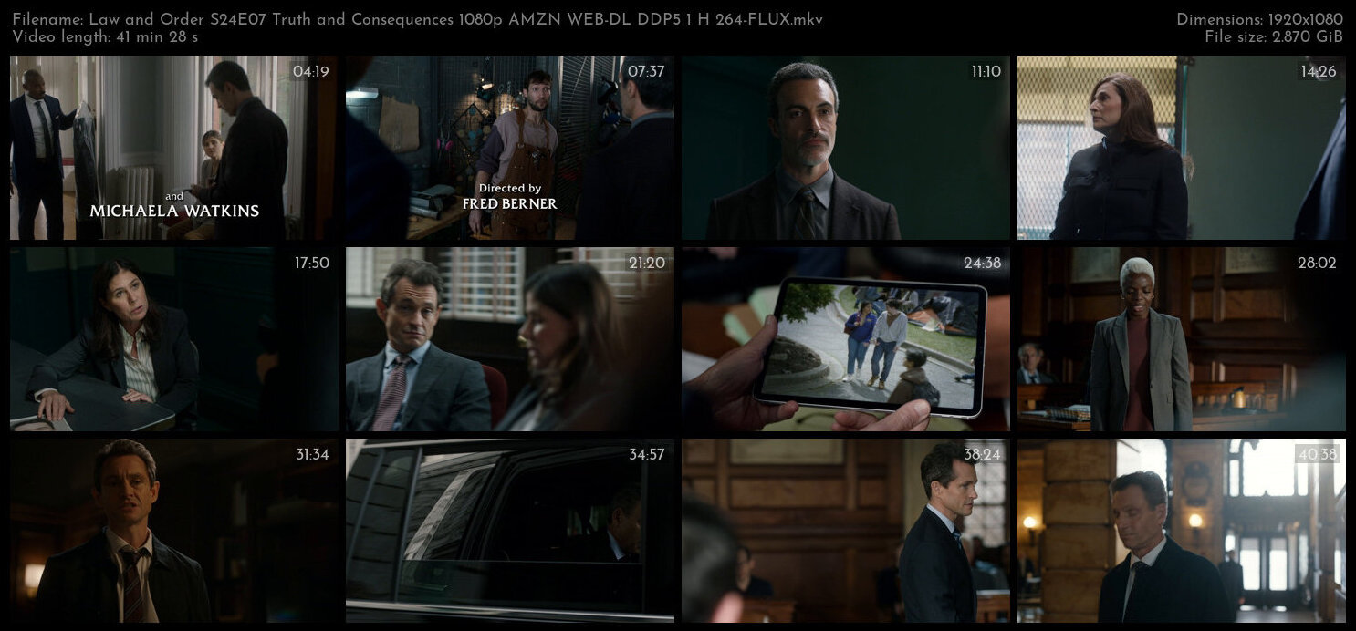 Law and Order S24E07 Truth and Consequences 1080p AMZN WEB DL DDP5 1 H 264 FLUX TGx