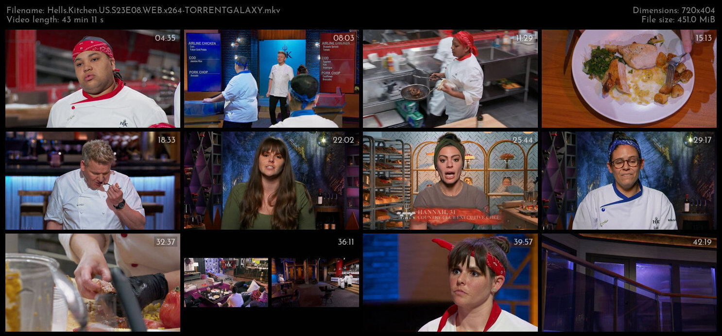 Hells Kitchen US S23E08 WEB x264 TORRENTGALAXY