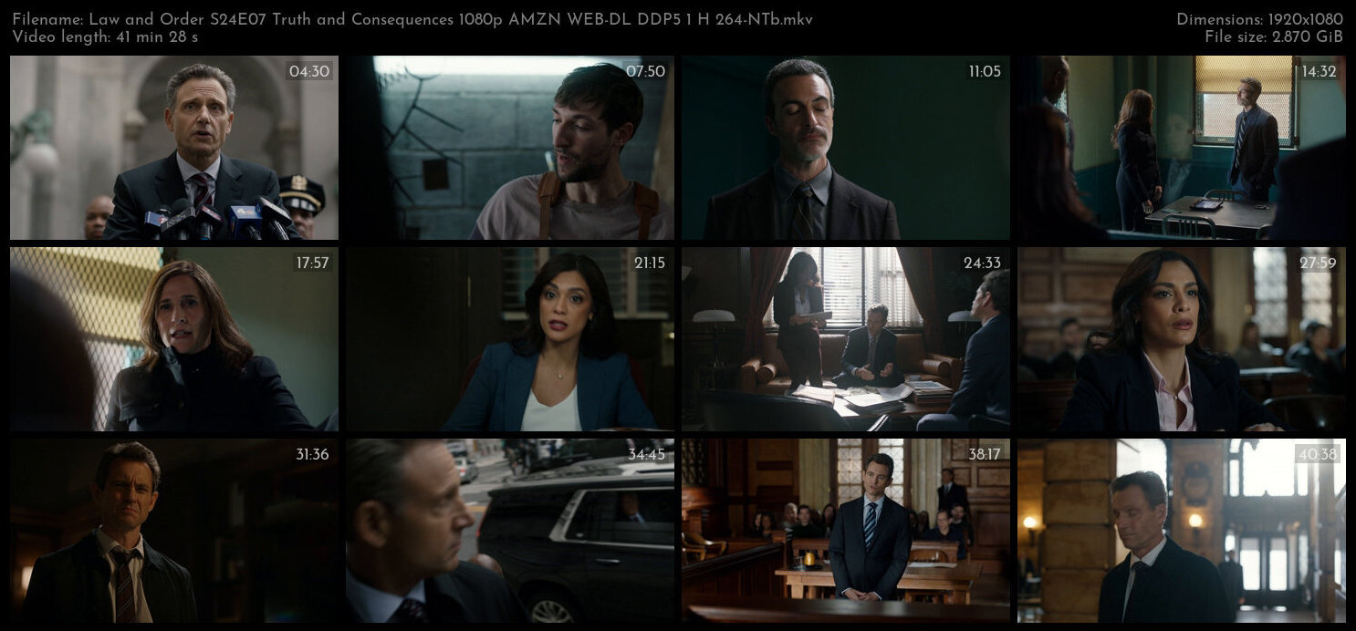 Law and Order S24E07 Truth and Consequences 1080p AMZN WEB DL DDP5 1 H 264 NTb TGx