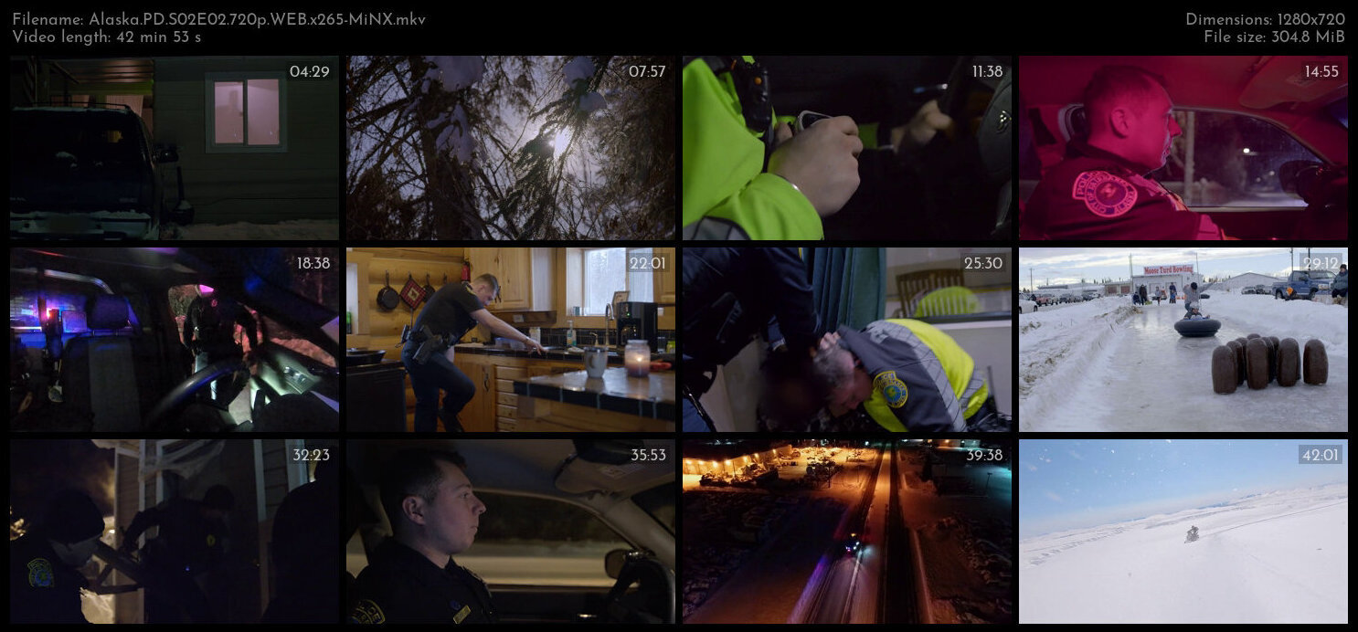 Alaska PD S02E02 720p WEB x265 MiNX TGx