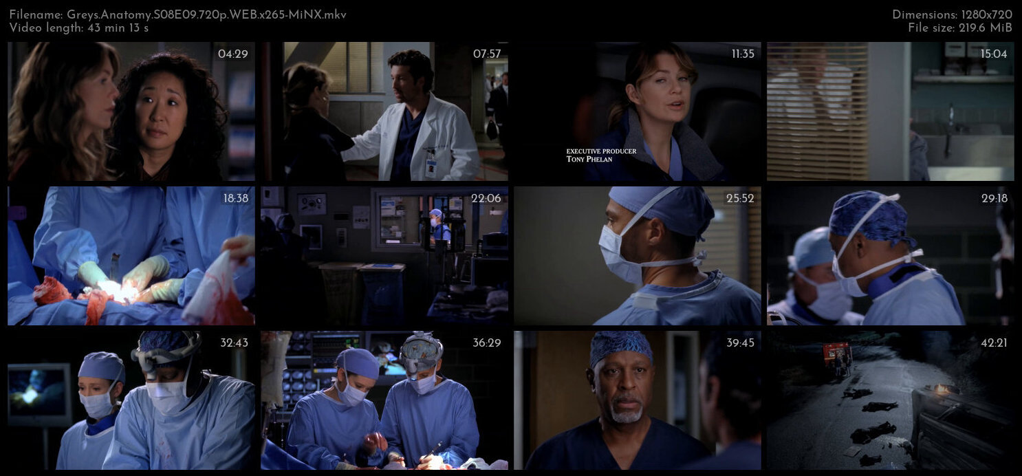 Greys Anatomy S08E09 720p WEB x265 MiNX TGx