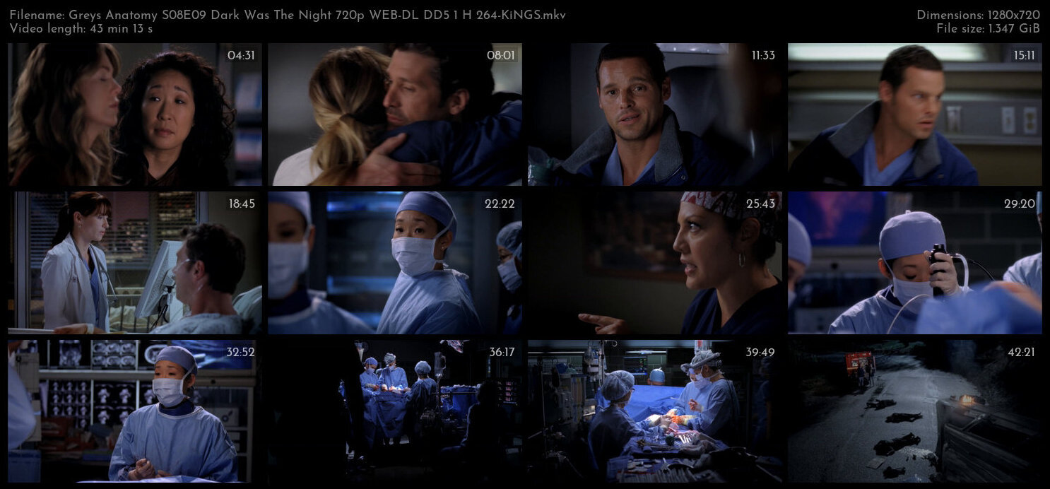 Greys Anatomy S08E09 Dark Was The Night 720p WEB DL DD5 1 H 264 KiNGS TGx