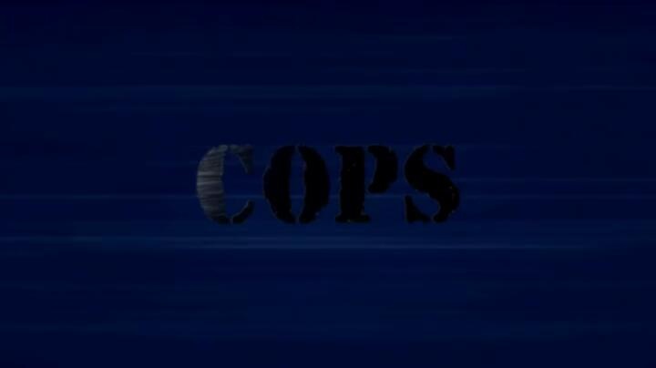 Cops S36E17 WEB x264 TORRENTGALAXY