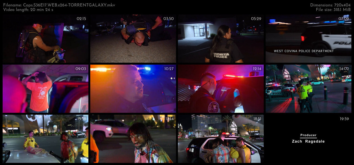 Cops S36E17 WEB x264 TORRENTGALAXY