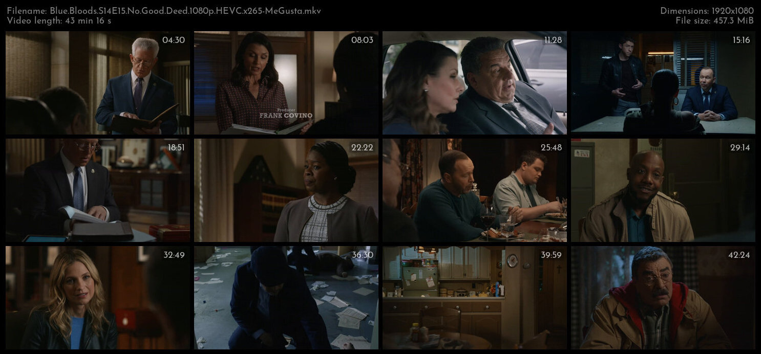 Blue Bloods S14E15 No Good Deed 1080p HEVC x265 MeGusta TGx