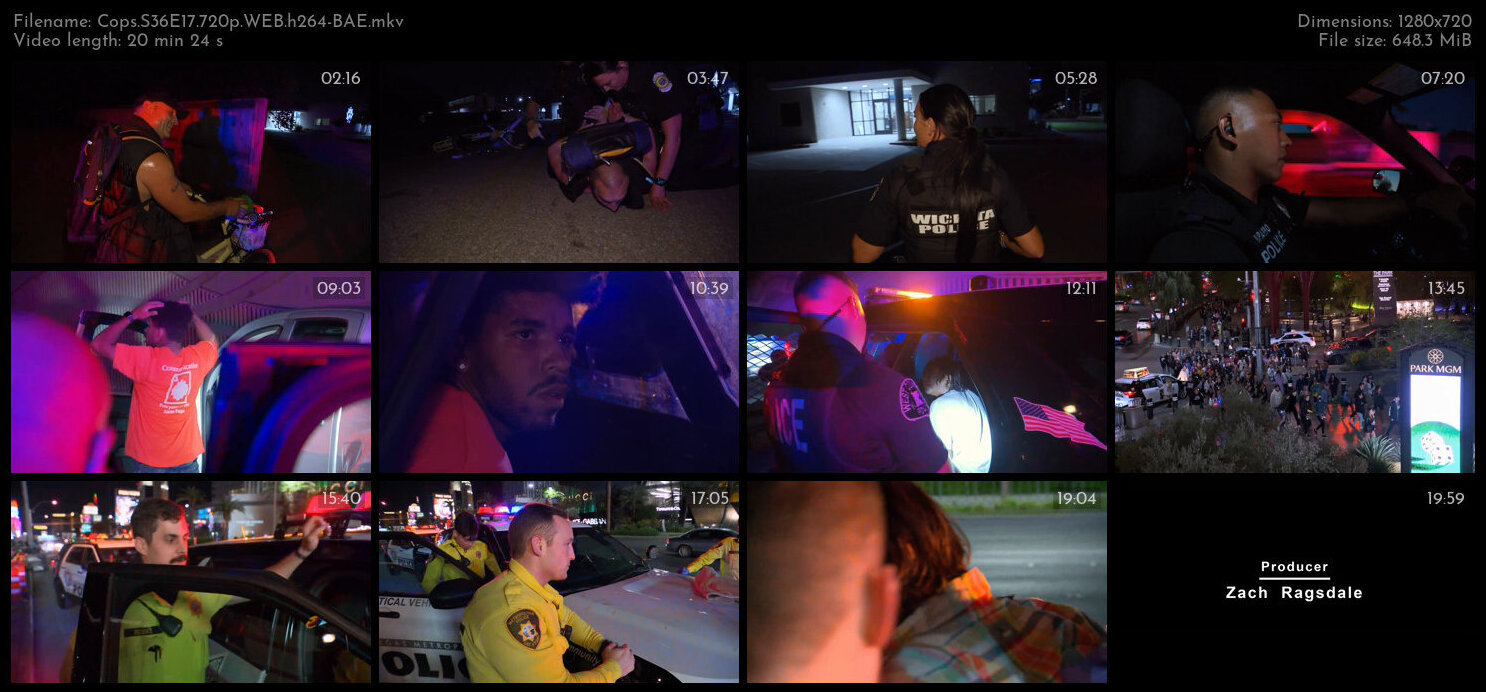 Cops S36E17 720p WEB h264 BAE TGx