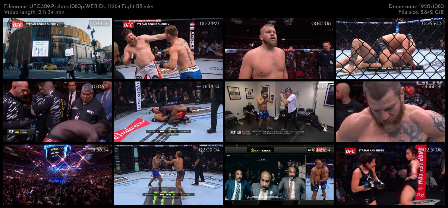 UFC 309 Prelims 1080p WEB DL H264 Fight BB