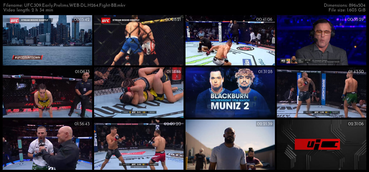 UFC 309 Early Prelims WEB DL H264 Fight BB