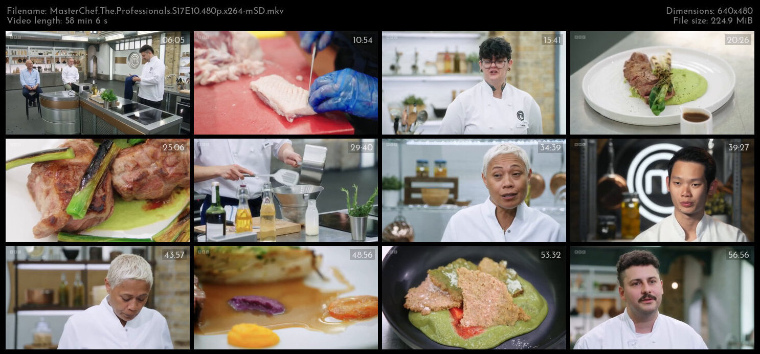 MasterChef The Professionals S17E10 480p x264 mSD TGx