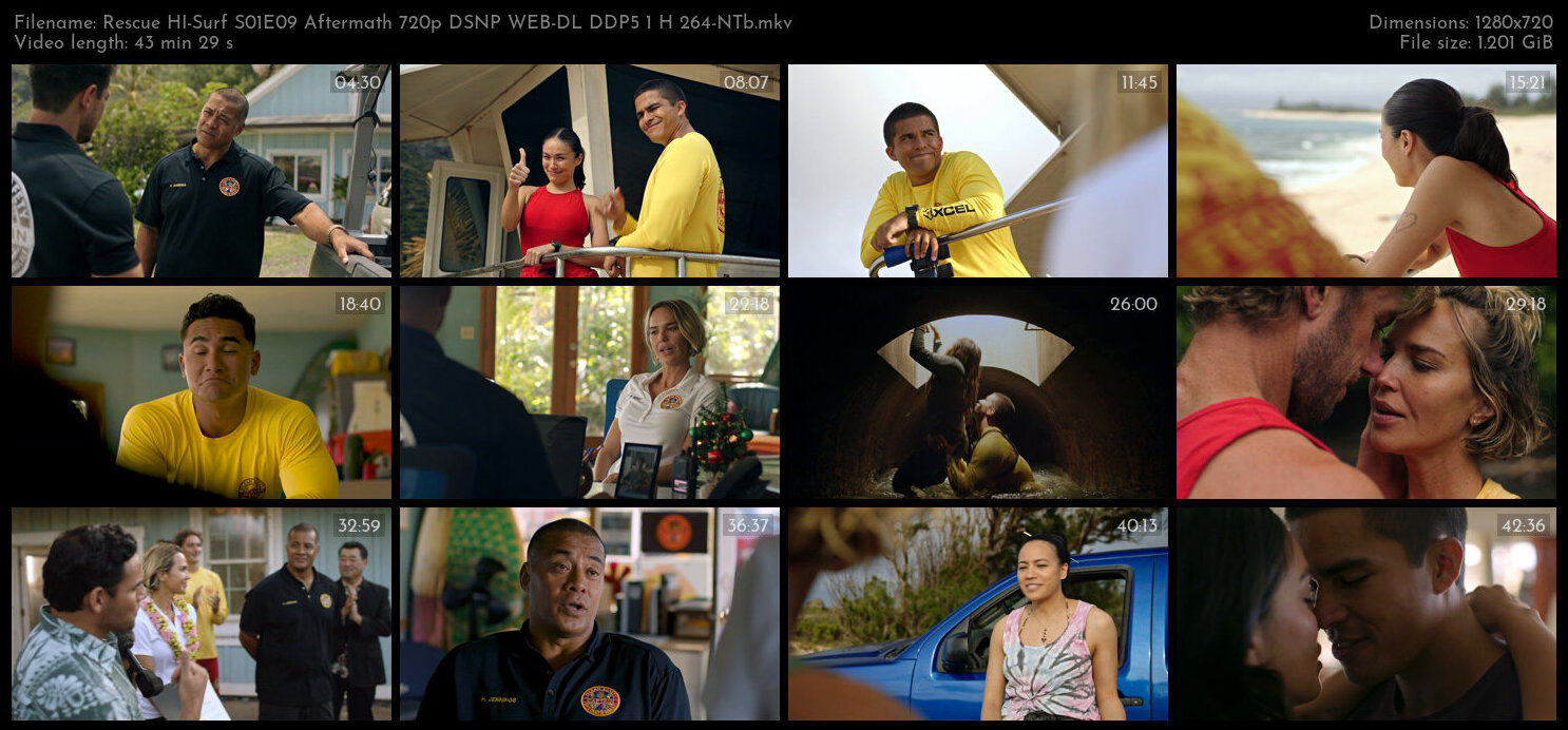 Rescue HI Surf S01E09 Aftermath 720p DSNP WEB DL DDP5 1 H 264 NTb TGx