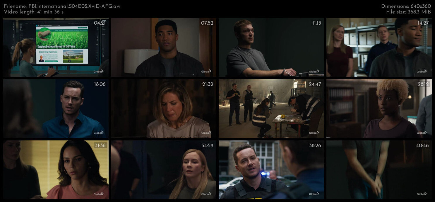 FBI International S04E05 XviD AFG TGx