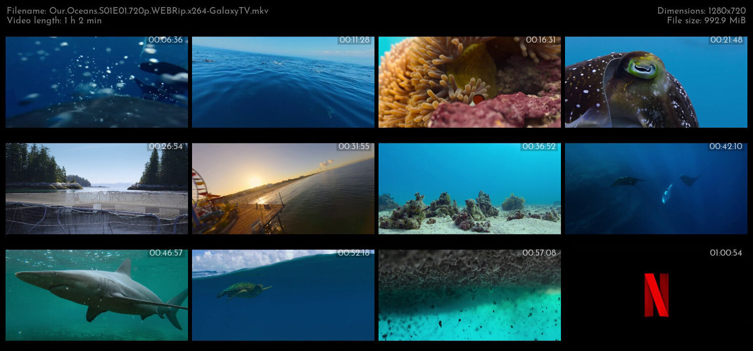 Our Oceans S01 COMPLETE 720p WEBRip x264 GalaxyTV