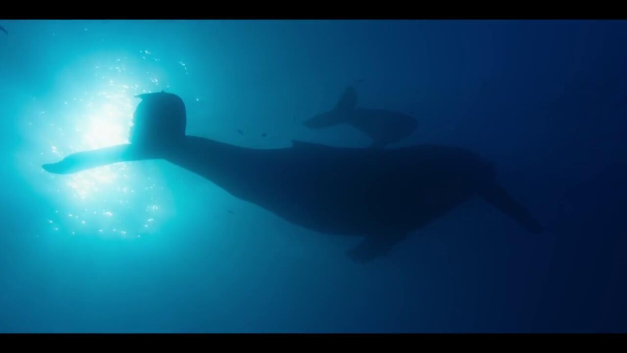 Our Oceans S01 COMPLETE 720p WEBRip x264 GalaxyTV