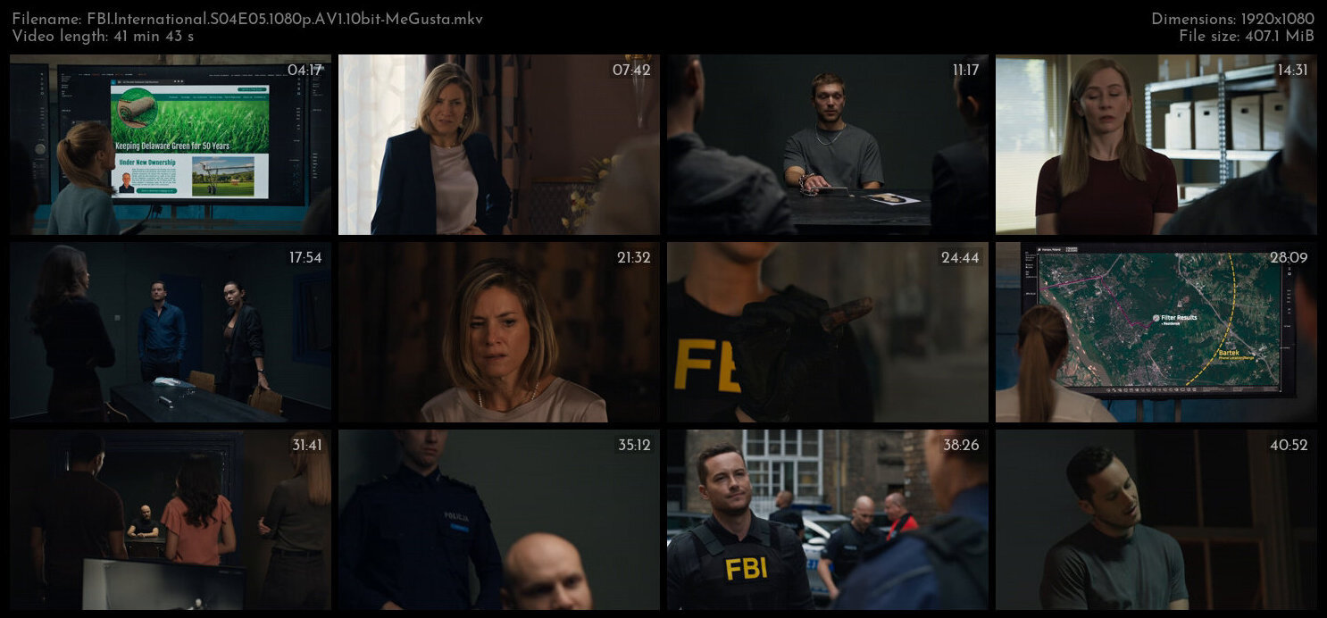 FBI International S04E05 1080p AV1 10bit MeGusta TGx